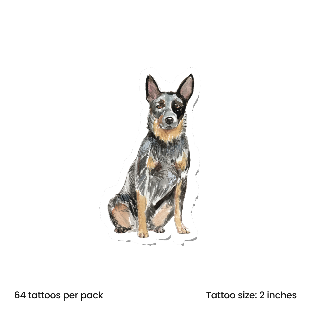 Watercolor Aust Cattle