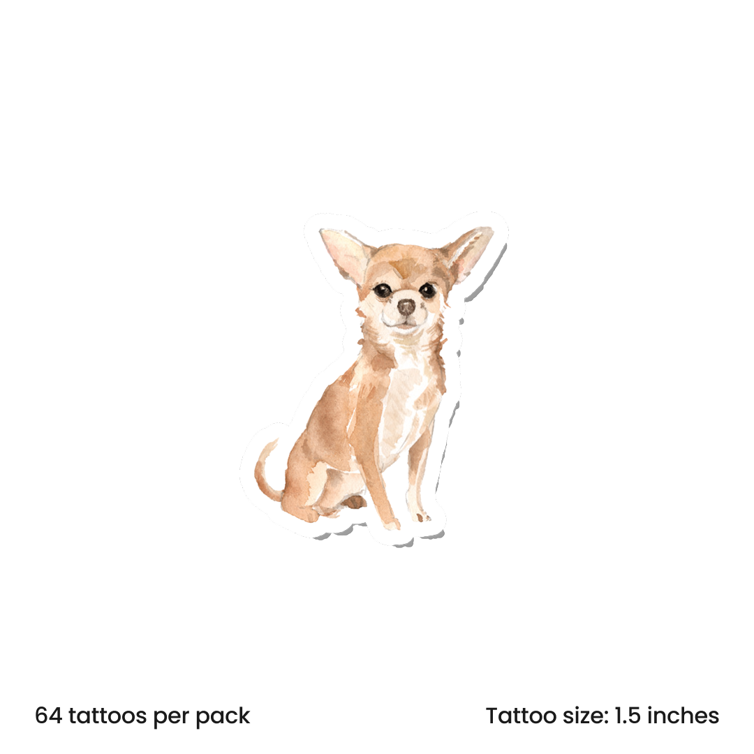 Chihuahua