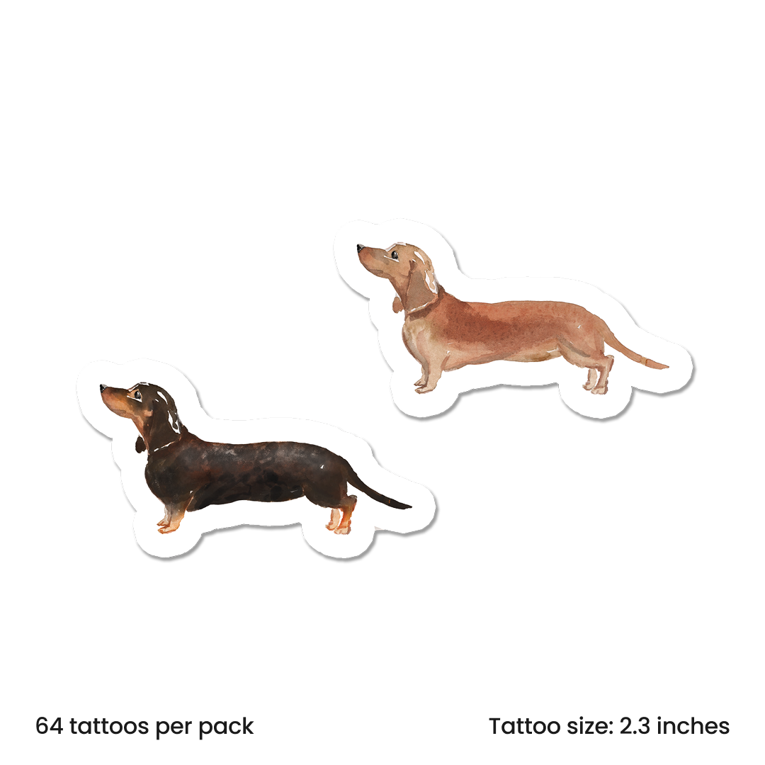 Watercolor Dachshund