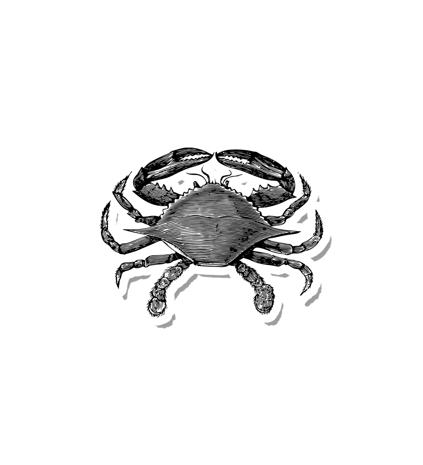 Vintage Ink Crab