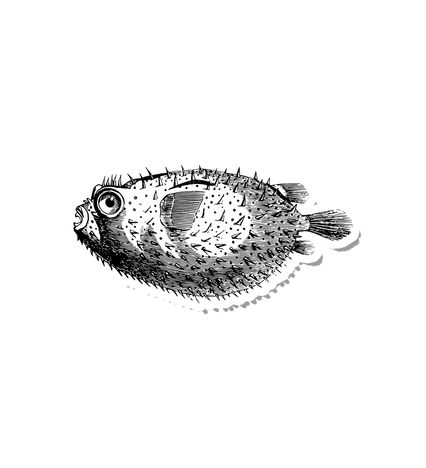 Vintage Ink Pufferfish