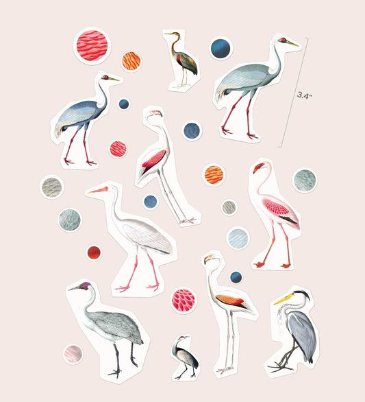 Birdy Elegance image 3