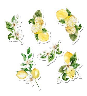 Amalfi Zest