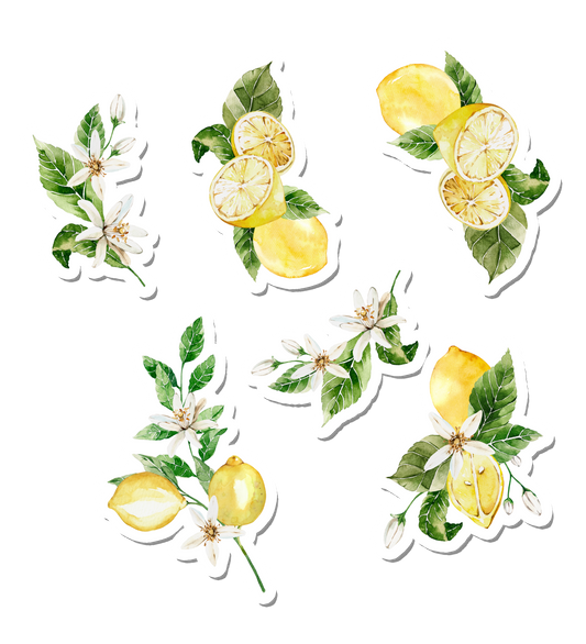 Amalfi Zest