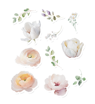 Bloom
