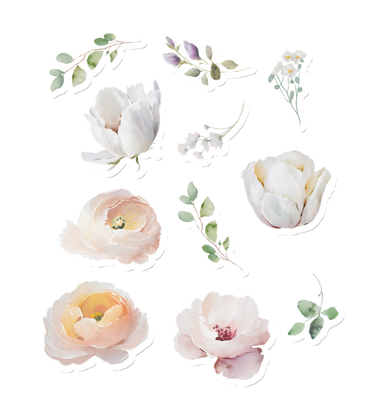 Bloom