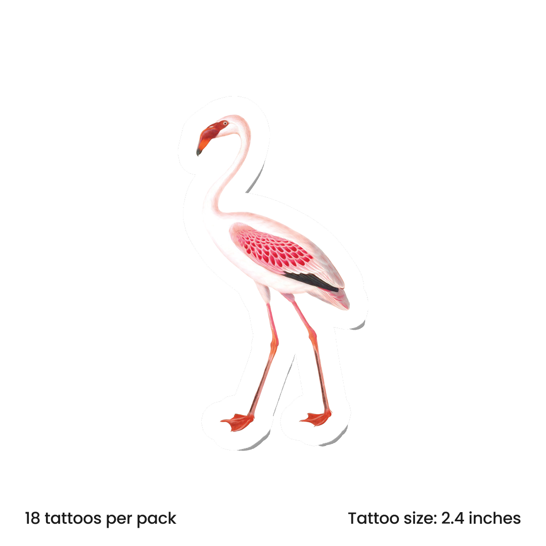 Birdy Flamingo