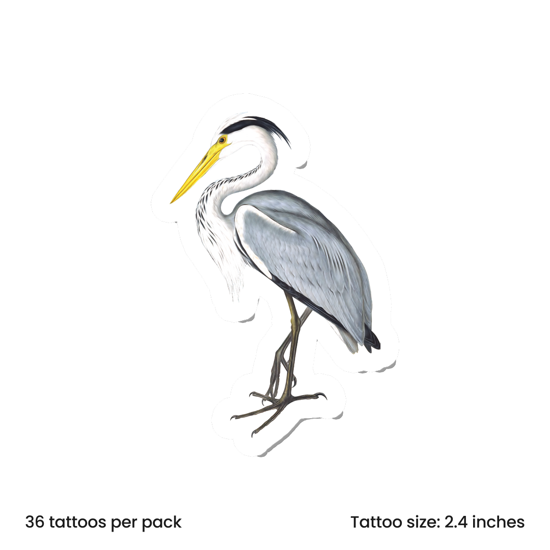 Birdy Grey Heron