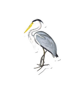 Birdy Grey Heron