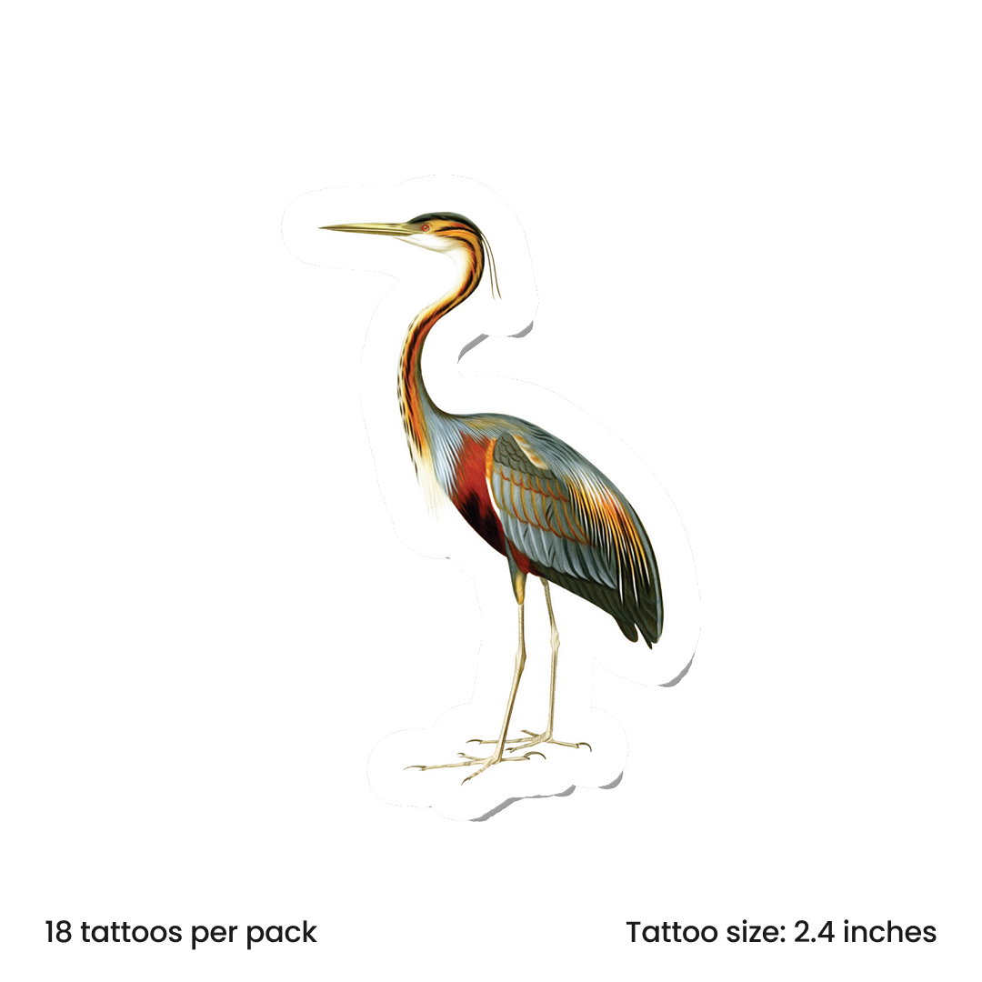 Birdy Purple Heron