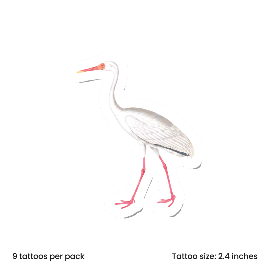 Birdy Crane
