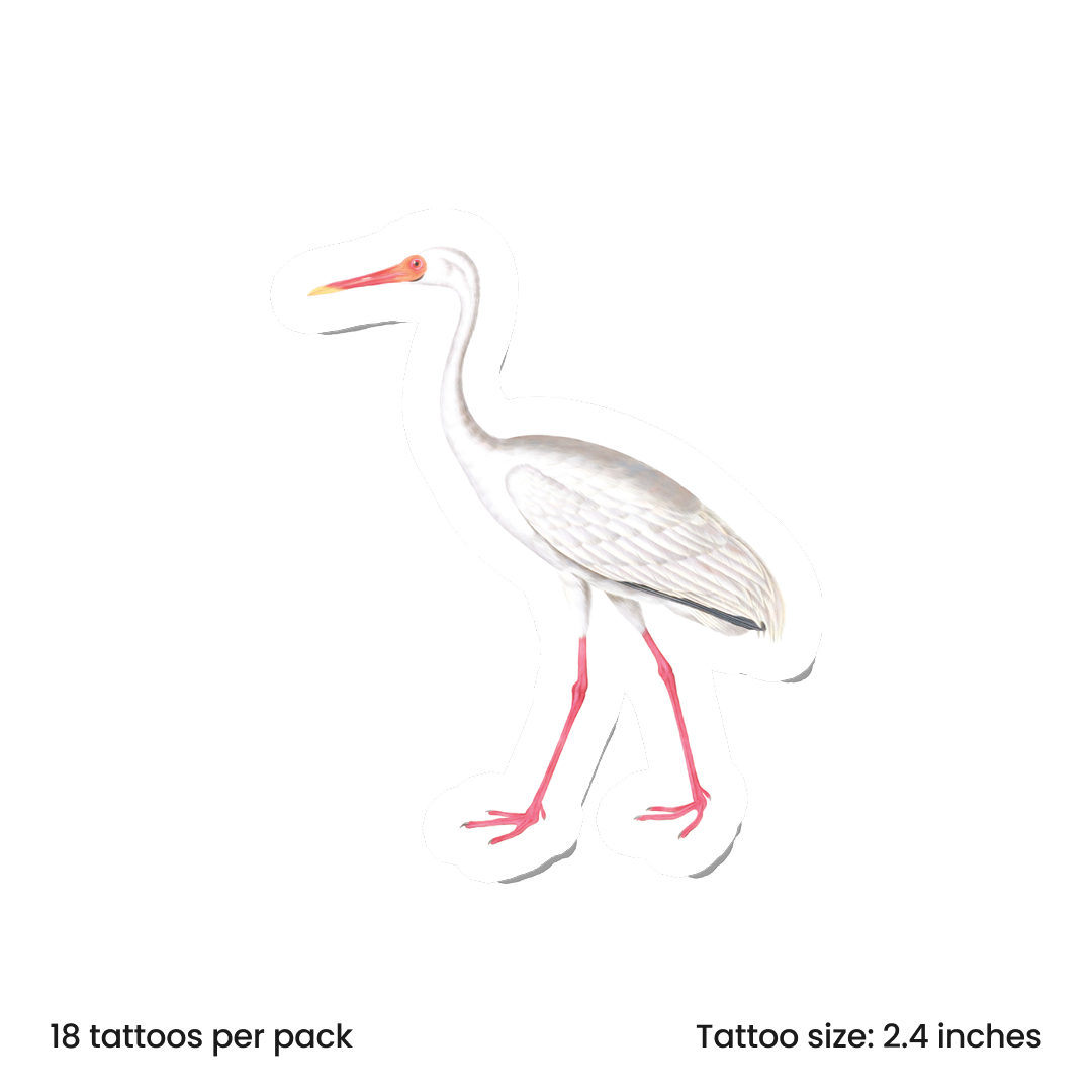 Birdy Crane