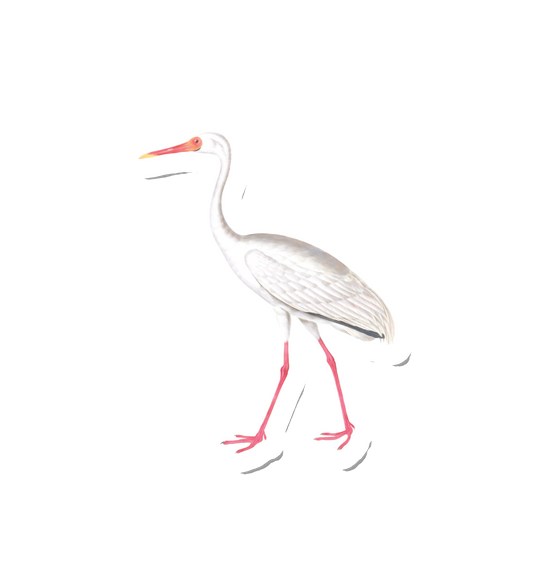 Birdy Crane