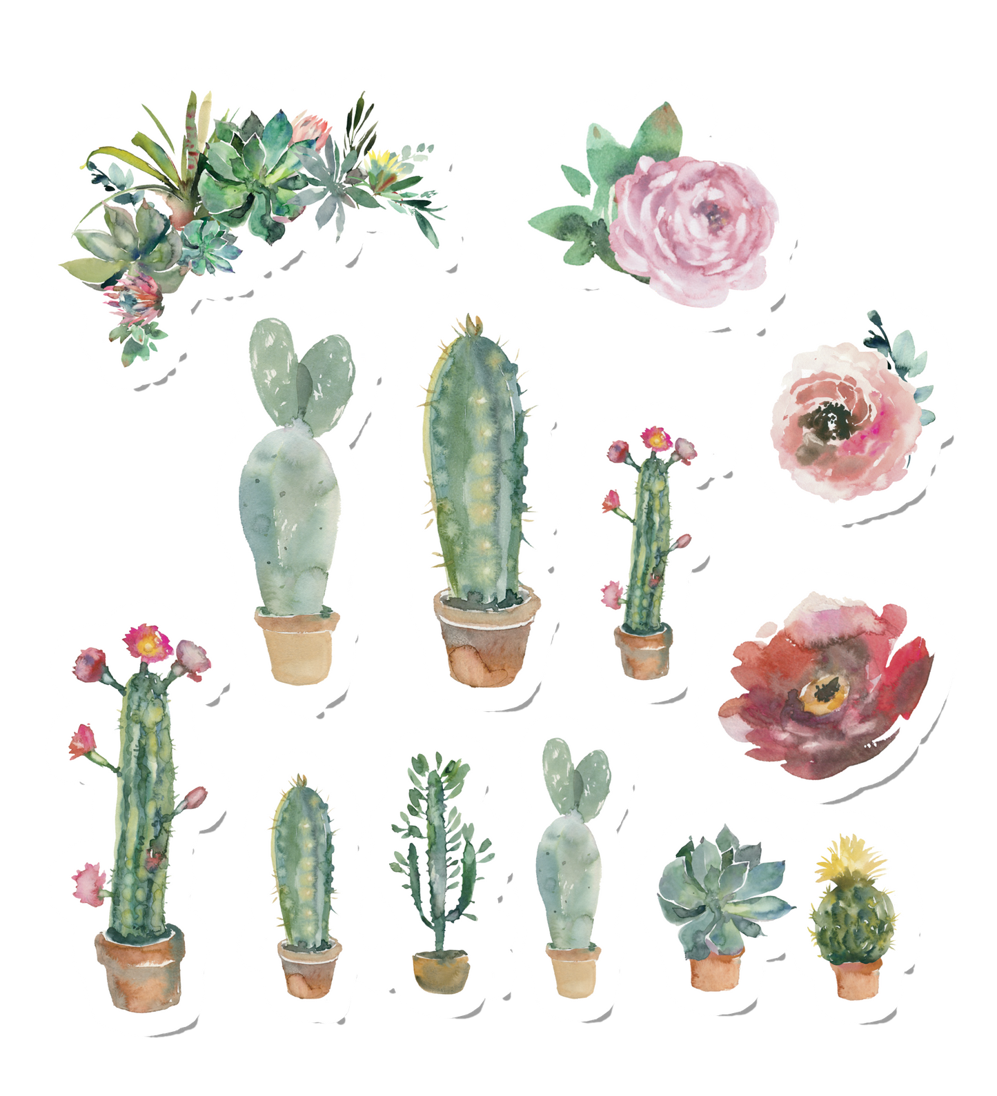 Cacti