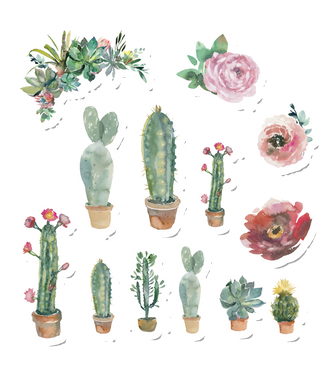 Cacti