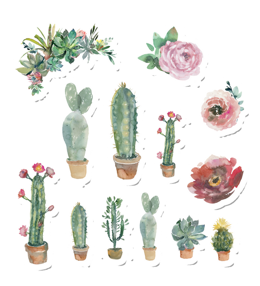 Cacti
