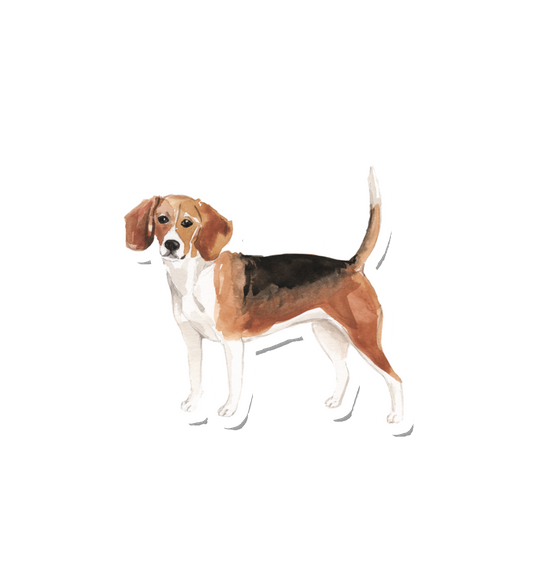 Watercolor Beagle