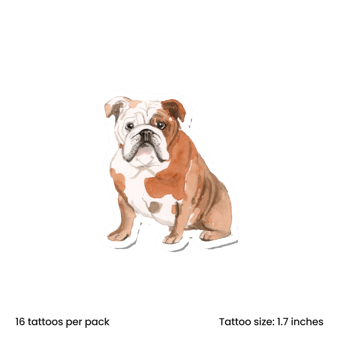 Watercolor Bulldog