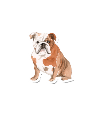 Watercolor Bulldog