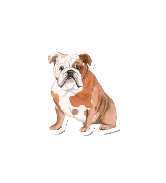 Watercolor Bulldog