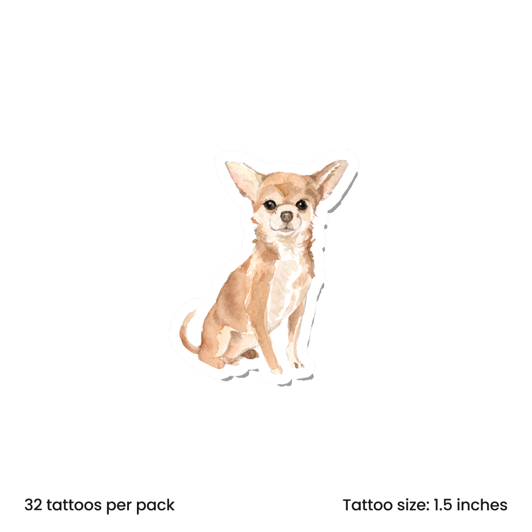 Chihuahua