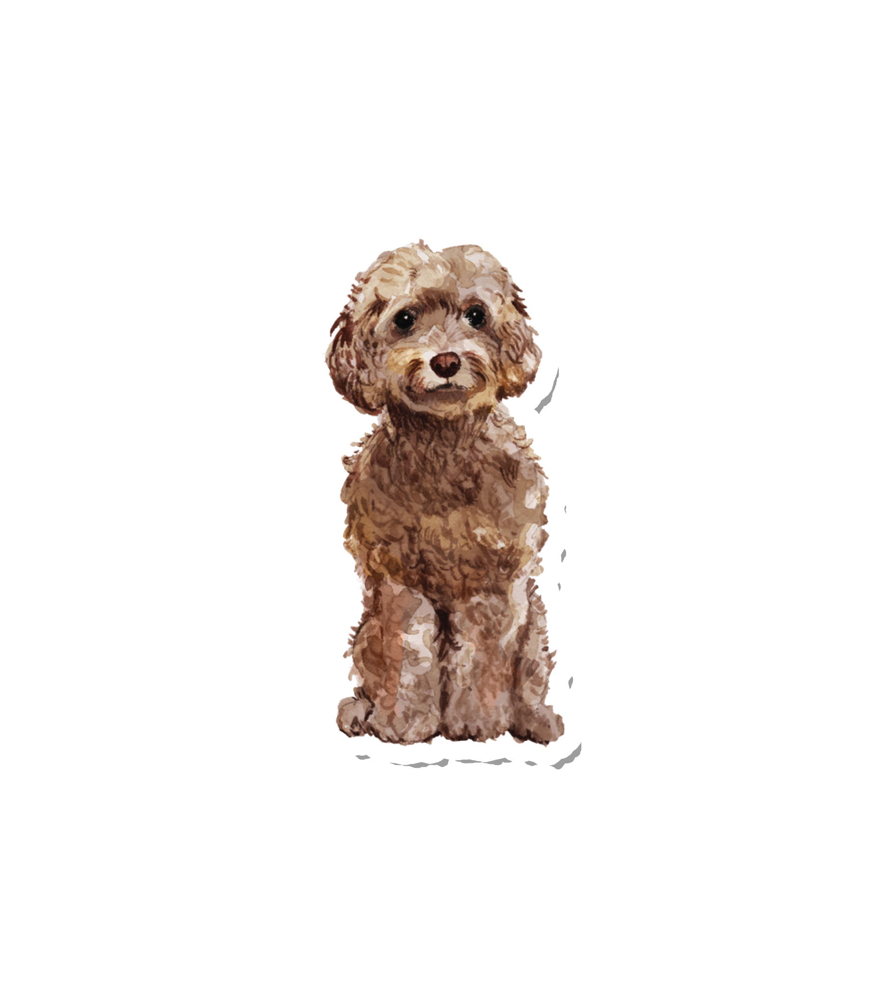 Watercolor Cockapoo – suteka
