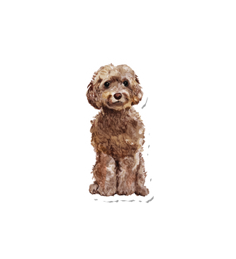 Watercolor Cockapoo
