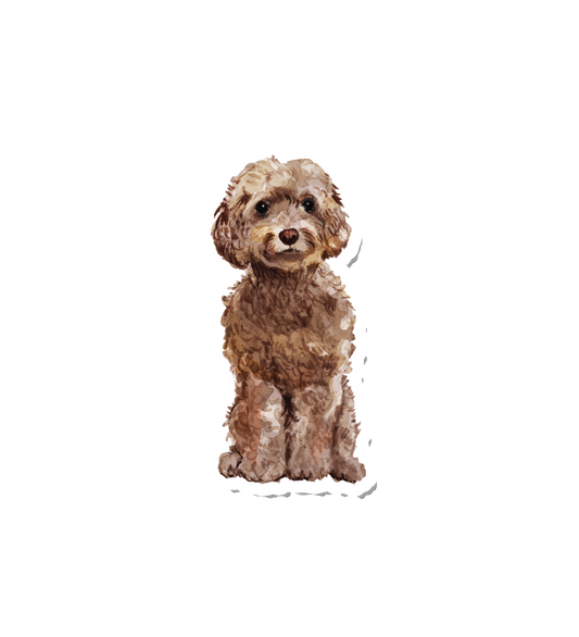 Watercolor Cockapoo