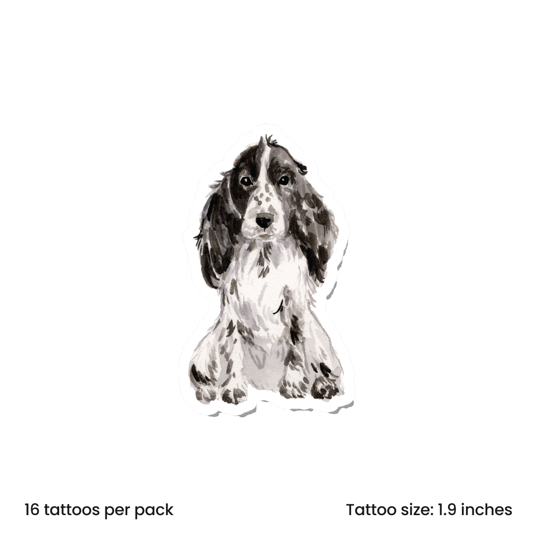 Watercolor Spaniel