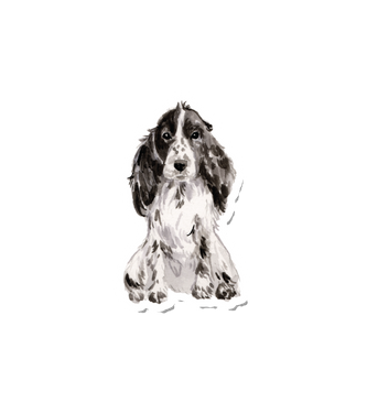 Watercolor Spaniel