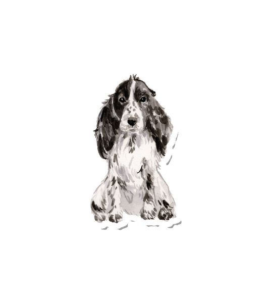 Watercolor Spaniel