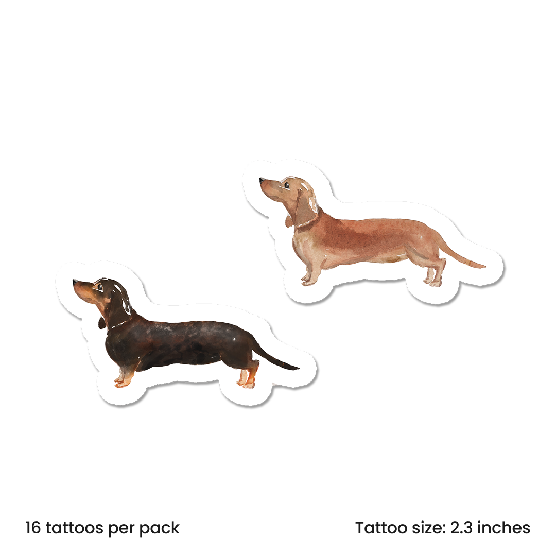Watercolor Dachshund