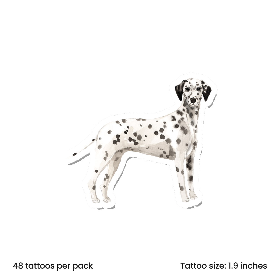 Watercolor Dalmatian