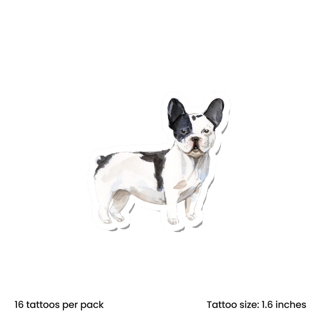 Watercolor French-bulldog