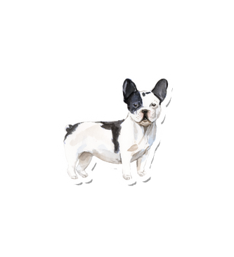 Watercolor French-bulldog
