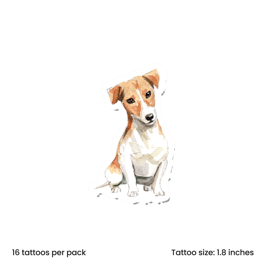 Watercolor Jack Russell