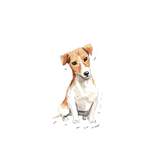 Watercolor Jack Russell
