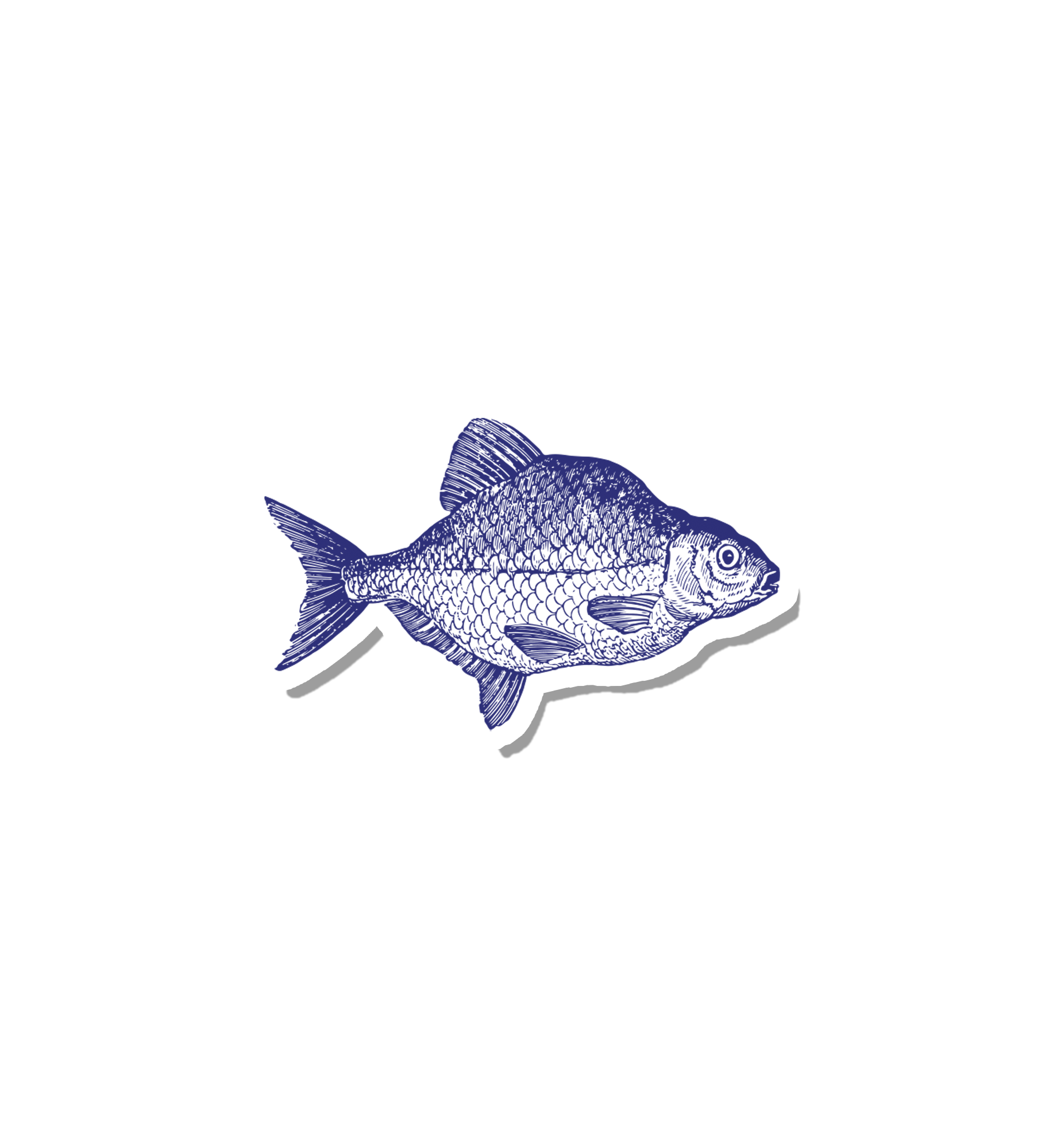 Vintage Ink Fish – suteka