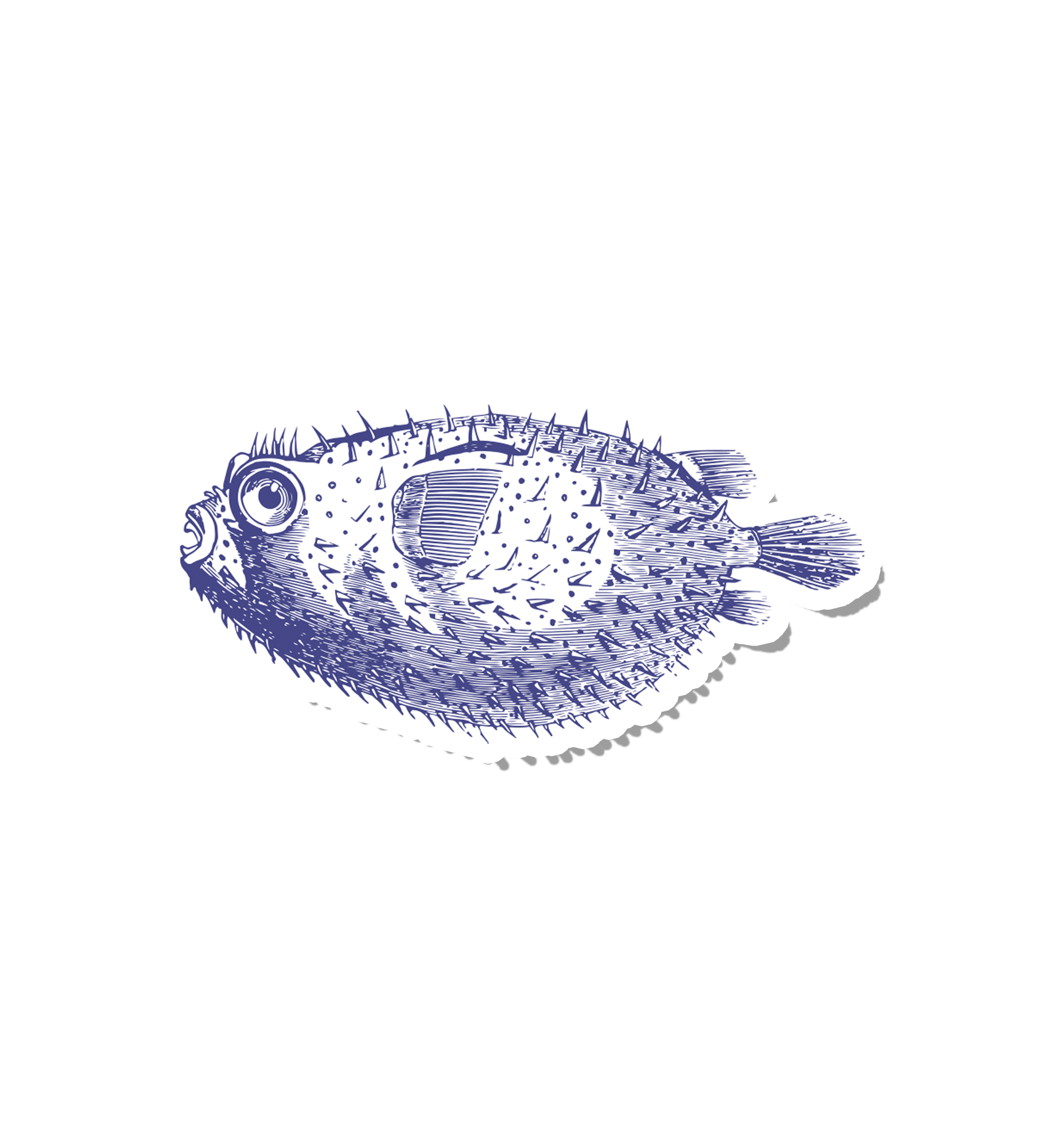 Vintage Ink Pufferfish – suteka