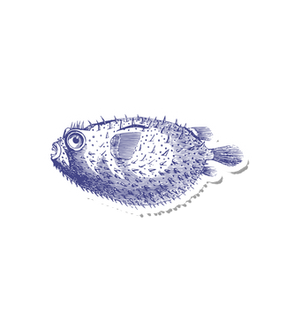 VIntage Ink Pufferfish