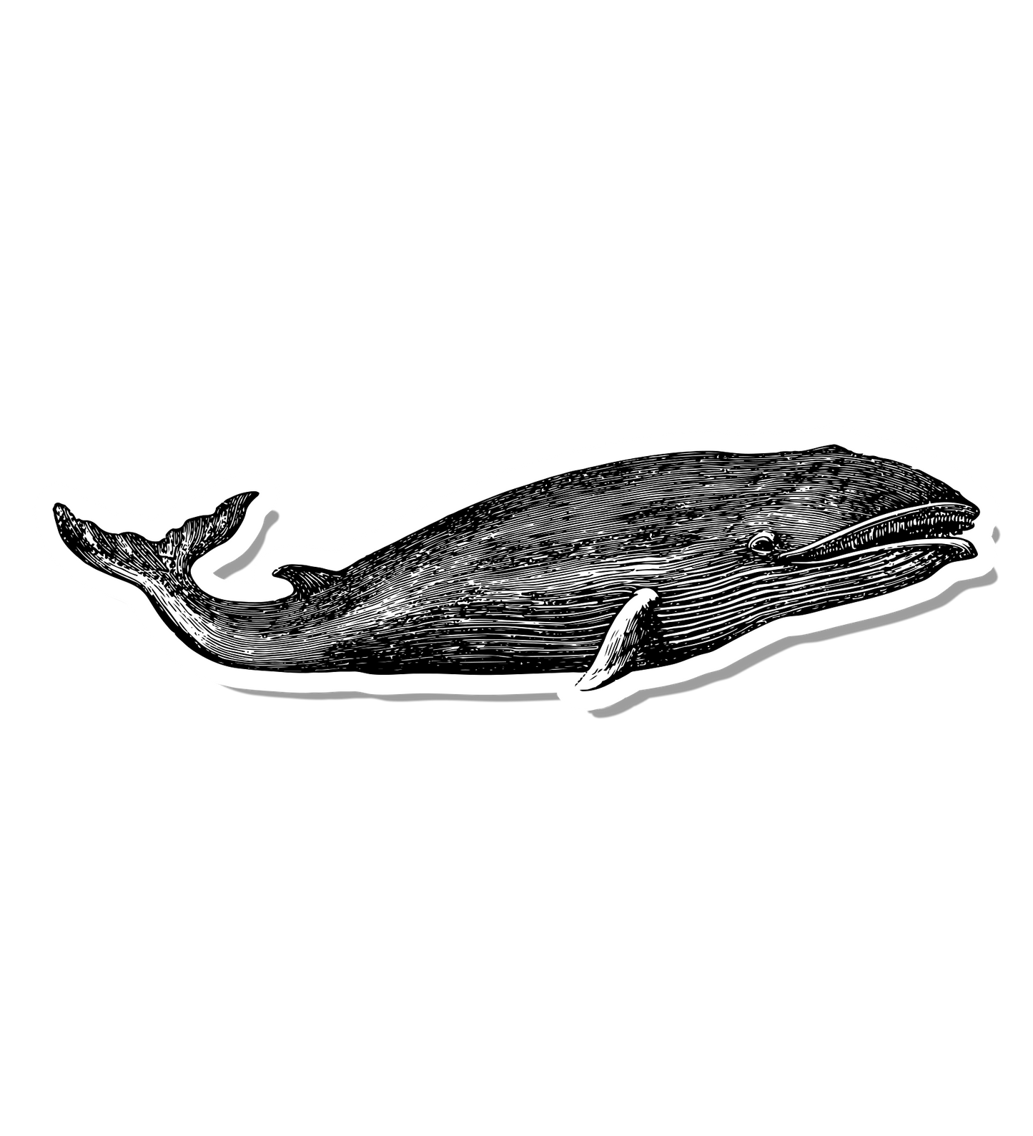 Vintage Ink Whale