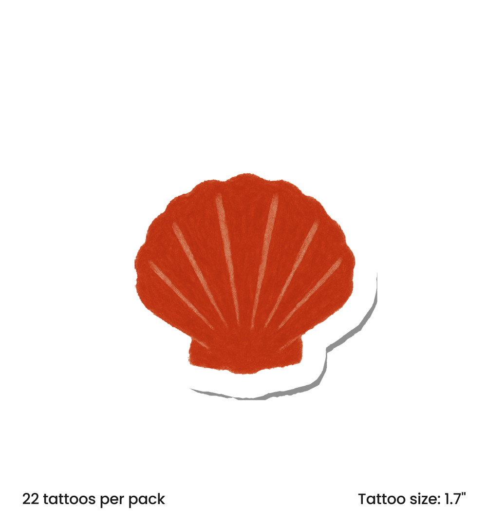 Coastal Shell
