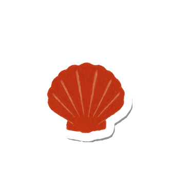 Coastal Shell