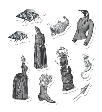 Sea Ladies