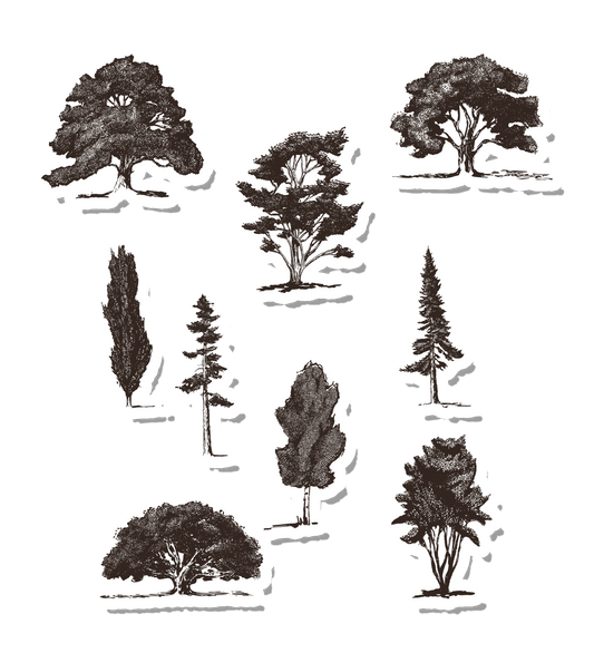 Sketched Trees