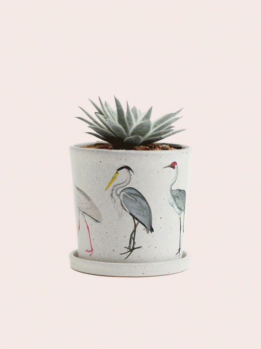 Birdy Elegance image 2